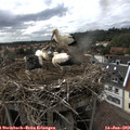 16_35-nest.jpg
