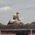 16_55-mast.jpg