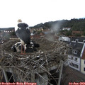 17_00-nest.jpg