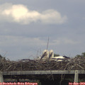 17_10-mast.jpg