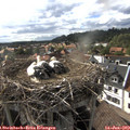 17_35-nest.jpg