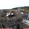 17_45-nest.jpg