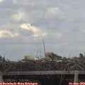 18_05-mast.jpg