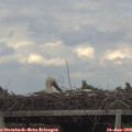 18_10-mast.jpg