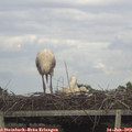 18_35-mast.jpg