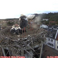 21_00-nest.jpg