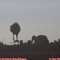 07_35-mast.jpg