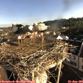 07_40-nest.jpg