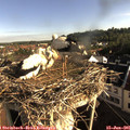 07_55-nest.jpg
