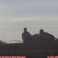 08_00-mast.jpg