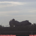 08_05-mast.jpg