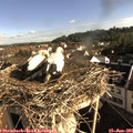 08_15-nest.jpg