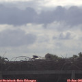 08_45-mast.jpg