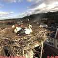 08_55-nest.jpg