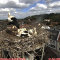 10_35-nest.jpg