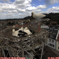 10_50-nest.jpg