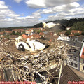 11_15-nest.jpg