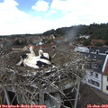 12_00-nest.jpg