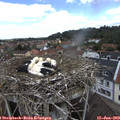 12_05-nest.jpg
