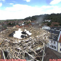 12_20-nest.jpg