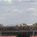 12_25-mast.jpg