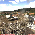 12_35-nest.jpg