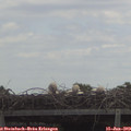 12_40-mast.jpg
