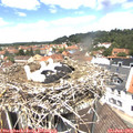 12_45-nest.jpg