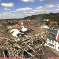 12_50-nest.jpg
