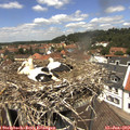 12_55-nest.jpg