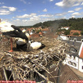 13_20-nest.jpg