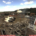13_35-nest.jpg