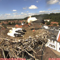 13_40-nest.jpg