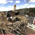 14_10-nest.jpg