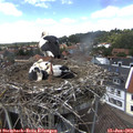 14_15-nest.jpg