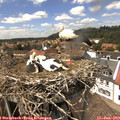 14_20-nest.jpg