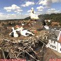 14_25-nest.jpg