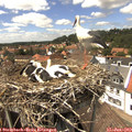 14_40-nest.jpg