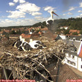 14_45-nest.jpg