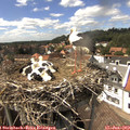 15_15-nest.jpg
