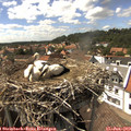 15_35-nest.jpg