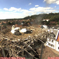 15_55-nest.jpg