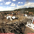 16_00-nest.jpg