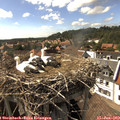 16_20-nest.jpg