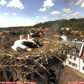 16_25-nest.jpg