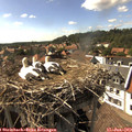 16_30-nest.jpg