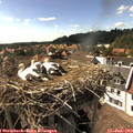 16_35-nest.jpg