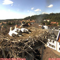16_40-nest.jpg