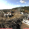 17_05-nest.jpg