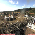 17_10-nest.jpg